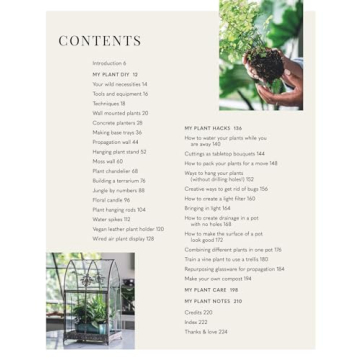 Wild Creations Plant Care Tips and Styling Ideas