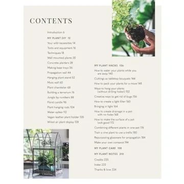 Wild Creations Plant Care Tips and Styling Ideas