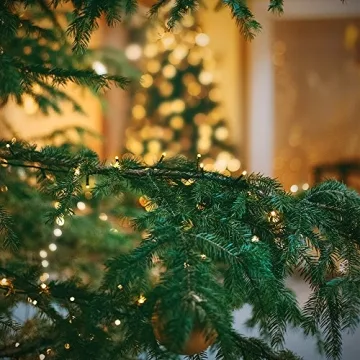 XTF2015 LED Christmas String Lights for Festive Celebrations