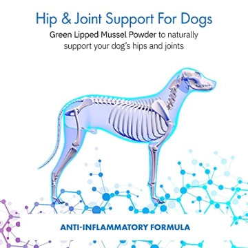 Equa Holistics Green Lipped Mussel Powder for Dogs