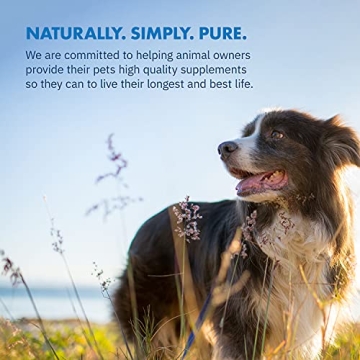 Equa Holistics Green Lipped Mussel Powder for Dogs