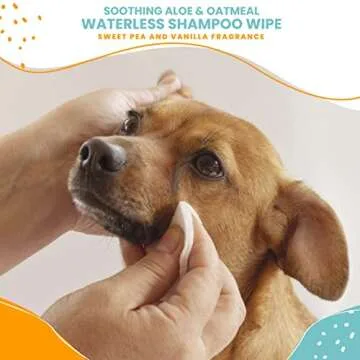 Nootie Waterless Shampoo Wipes for Dogs & Cats - Fresh and Easy Grooming