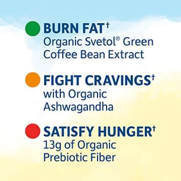 High Protein Bars for Weight Loss - Garden of Life Organic Fit Bar - S'mores (12 per carton) - Burn Fat, Satisfy Hunger and Fight Cravings, Low Sugar Plant Protein Bar with Fiber