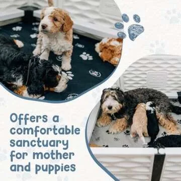 EZclassic 38"x38" Whelping Box for Medium Dogs and Puppies