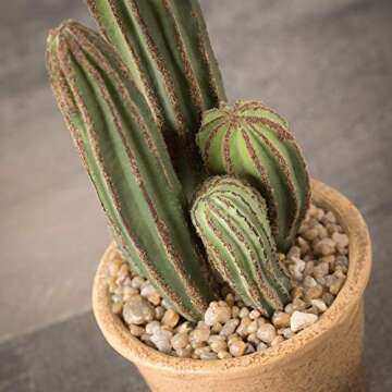 Sullivans Artificial Succulent Plant in Pot, 10.75"