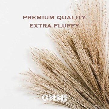 OMME Dried Pampas Grass Phragmites Large Natural (Tan, 17)
