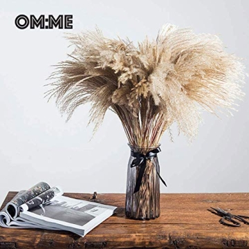 OMME Dried Pampas Grass Phragmites Large Natural (Tan, 17)