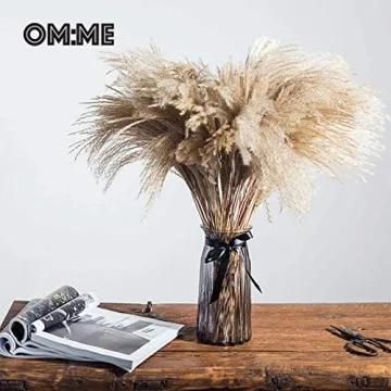 OMME Dried Pampas Grass Phragmites Large Natural (Tan, 17)