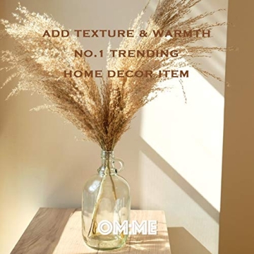 OMME Dried Pampas Grass Phragmites Large Natural (Tan, 17)