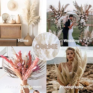 OMME Dried Pampas Grass Phragmites Large Natural (Tan, 17)