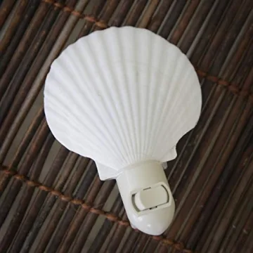 Shop Tumbler Home Real Sea Shell Beach Night Light Today