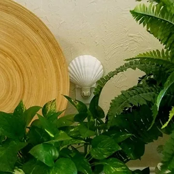 Shop Tumbler Home Real Sea Shell Beach Night Light Today