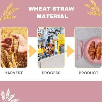 Durable ECOSTAR Wheat Straw Dinnerware Set for All Ages