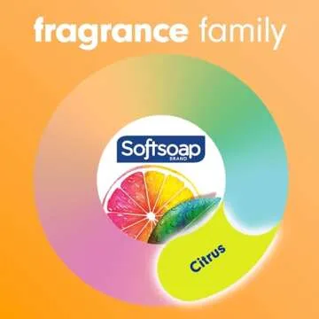 Softsoap Antibacterial Liquid Hand Soap Pump, Crisp Clean - 11.25 fluid ounce