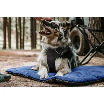 K9 Ballistics Tough Rip-Stop Dog Crate Pad - Durable, Washable, None Skid Bottom Kennel Mat, 120-Day Warranty, Fits in Large Dog Crate 41"x27" Obsidian Black