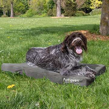 Furhaven Orthopedic Dog Bed - Water-Resistant & Supportive