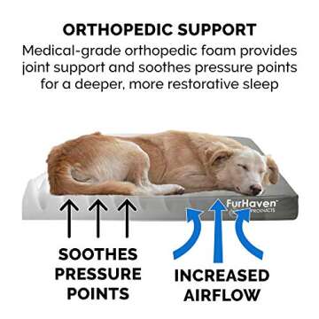 Furhaven Orthopedic Dog Bed - Water-Resistant & Supportive