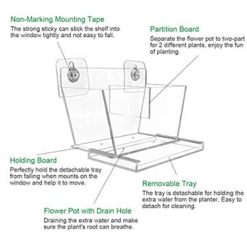 NIUXX Window Herb Box, Rectangular Plant Pots with Drain Tray, Window Garden Succulents Pot with Suction Stickers, Indoor Outdoor Flower Pot Home Kitchen Decor, Ideal Gift for Plant Lovers (Medium)