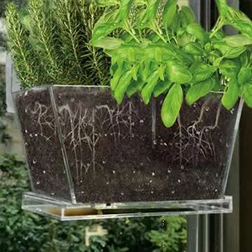 NIUXX Window Herb Box, Rectangular Plant Pots with Drain Tray, Window Garden Succulents Pot with Suction Stickers, Indoor Outdoor Flower Pot Home Kitchen Decor, Ideal Gift for Plant Lovers (Medium)