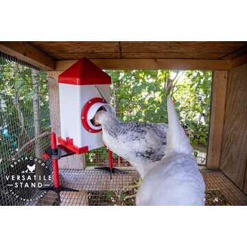 RentACoop 5lb BPA-Free Single-Port Chicken Feeder - Includes Anti-Roost Lid, Rain Hood, and Mounting...