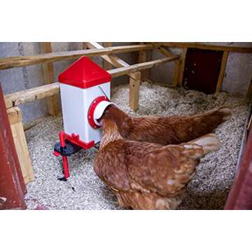 RentACoop 5lb BPA-Free Single-Port Chicken Feeder - Includes Anti-Roost Lid, Rain Hood, and Mounting Kit - Suitable for 12 Week or Older Chickens, Adult Chickens, and Poultry