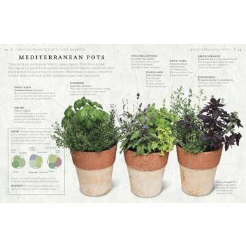 The Cook's Herb Garden: Grow Your Own Fresh Herbs