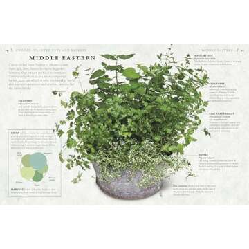 The Cook's Herb Garden: Grow Your Own Fresh Herbs