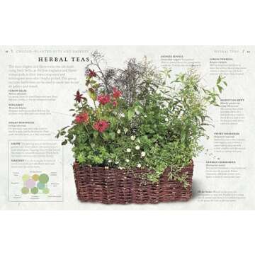 The Cook's Herb Garden: Grow Your Own Fresh Herbs