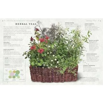 The Cook's Herb Garden: Grow Your Own Fresh Herbs