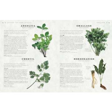 The Cook's Herb Garden: Grow Your Own Fresh Herbs