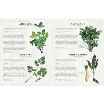 The Cook's Herb Garden: Grow Your Own Fresh Herbs