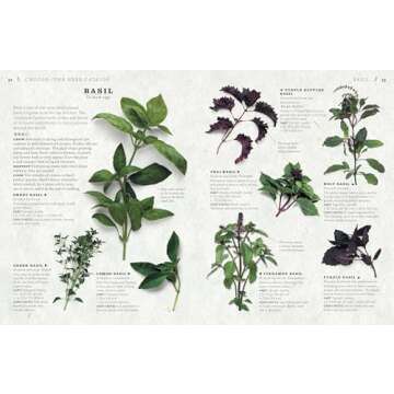 The Cook's Herb Garden: Grow Your Own Fresh Herbs