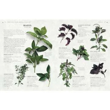 The Cook's Herb Garden: Grow Your Own Fresh Herbs