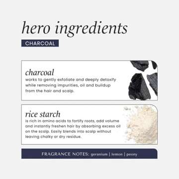 HASK Charcoal Dry Shampoo for All Hair Types, 4.3oz