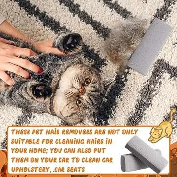 Abbylike 6 Pcs Pet Hair Remover Gray Pumice Stone Car Pet Hair Removal Tool for Bedding Carpet Couch Furniture Cleaning(5.3 x 2 x 1.4 Inch)