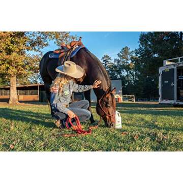 Effective Draw It Out Liniment Gel for Pain Relief