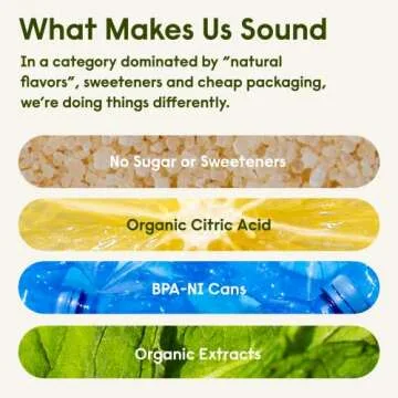 Sound Sparkling Water - Blood Orange w/Vanilla & Black Tea. Organic. Zero Calories. Zero Sugar. Non-GMO. Whole30. Clean Caffeinated Seltzer Water. 12 Fl oz (Pack of 12)