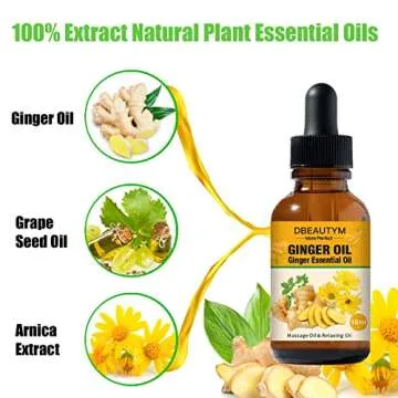 12 Pack Ginger Oil Lymphatic Drainage Massage Oil, Vitamin E Oil For Skin, Belly Lymphatic Drainage ...
