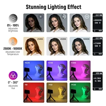 NEEWER RGB Video Light with App Control for Photography