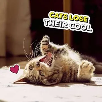 Temptations Salmon and Dairy Flavor Kitten Treats 3 oz