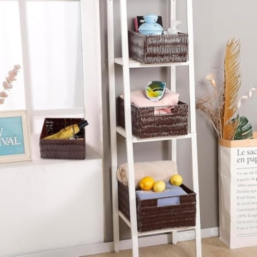 Stylish Elevon Plastic Wicker Storage Baskets Set for Home