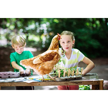 Heirloom Sunflower Seed Starter Kit for Fast Growth