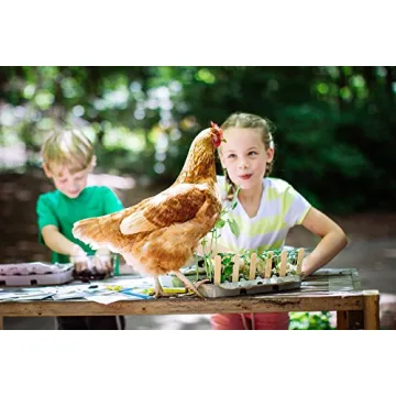 Heirloom Sunflower Seed Starter Kit for Fast Growth