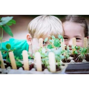 Heirloom Sunflower Seed Starter Kit for Fast Growth