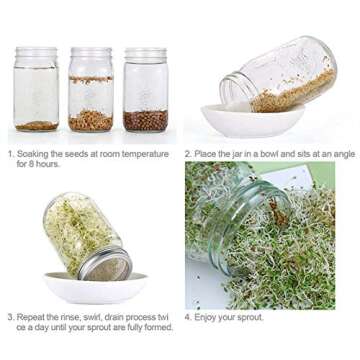Sprouting Lids Stainless Steel Kit for Mason Jars