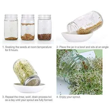 Sprouting Lids Stainless Steel Kit for Mason Jars