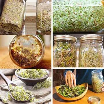 Sprouting Lids Stainless Steel Kit for Mason Jars