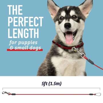 Leash Boss Dog Tie Out Cable for Large Dogs - 5 Ft Heavy Duty Tether for Outside Dog Runner - Durable, Chew-Proof, Dog Lead for Yard, Camping, and Training