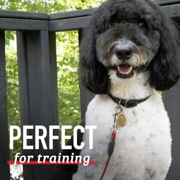 Leash Boss Dog Tie Out Cable for Large Dogs - 5 Ft Heavy Duty Tether for Outside Dog Runner - Durable, Chew-Proof, Dog Lead for Yard, Camping, and Training