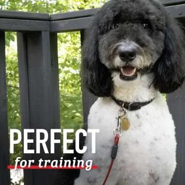 Leash Boss Dog Tie Out Cable for Large Dogs - 5 Ft Heavy Duty Tether for Outside Dog Runner - Durable, Chew-Proof, Dog Lead for Yard, Camping, and Training